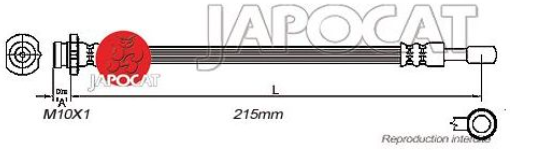 FLEXIBLE de FREIN-Femelle / Banjo - L: 215mm -ARG ou ARD